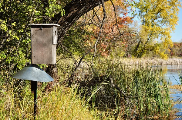 Wood Duck Box by Pond — Stock Photo, Image