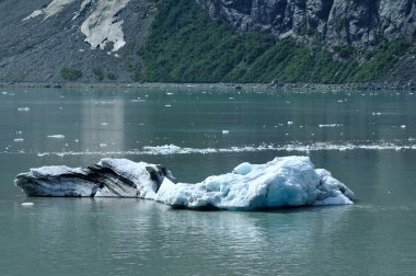 Iceberg from Tidewater Margerie Glacier clipart