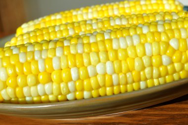 Bi-Color Corn on the Cob clipart