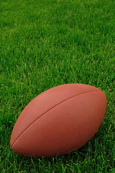Football sur un terrain de jeu d'herbe — Photo
