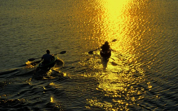 stock image Man and Woman Kayaking at Sunset