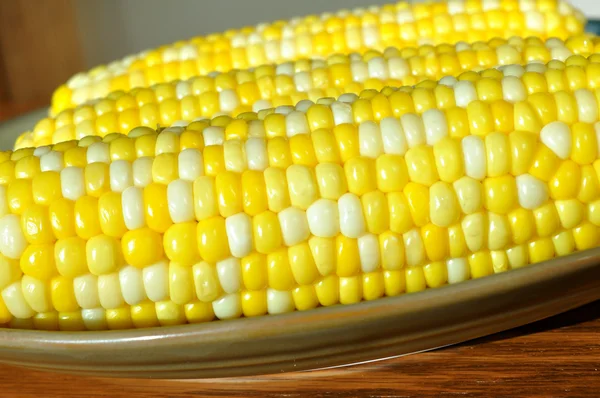 Kolby kukurydzy bi kolor — Zdjęcie stockowe