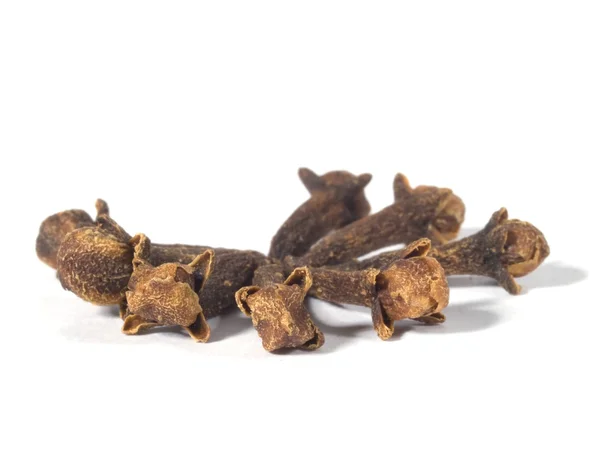 stock image Cloves 2