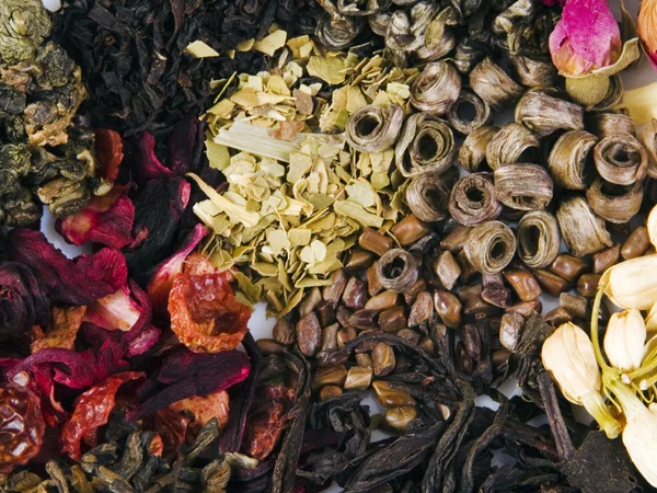 Diversi tipi di tè — Foto Stock