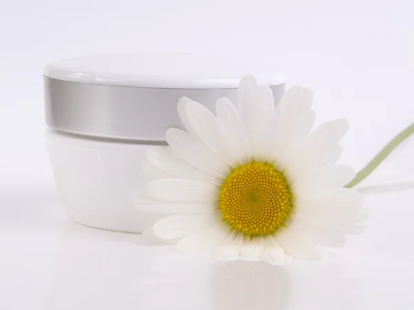 Cream and camomile on white — Stock Photo, Image