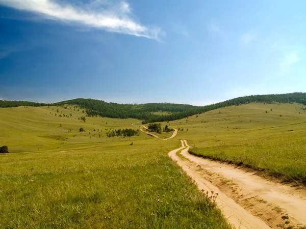 stock image Road to forest