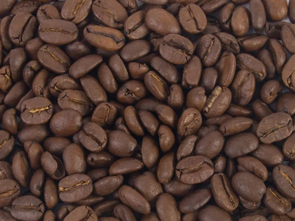Kaffebönor bakgrund — Stockfoto