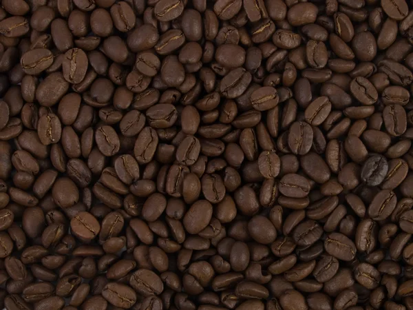 Granos de café fondo 2 — Foto de Stock