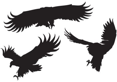 Eagles' silhouettes clipart