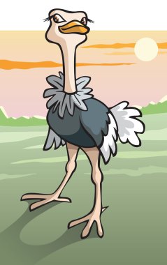 Ostrich in savanna clipart