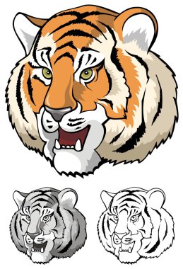 Tiger face close up clipart