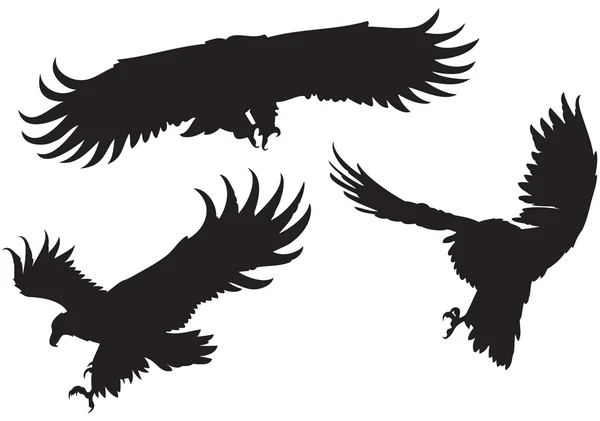 Eagles silhouetten — Stockvector