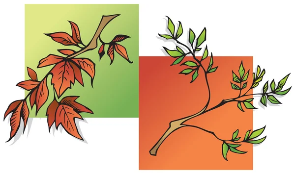 Zomer en herfst bladeren — Stockvector
