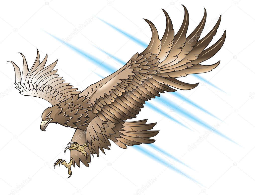 Attacking eagle