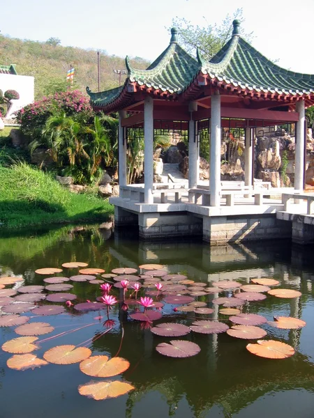Garden scenery with pond of lotuses — Stock Photo, Image