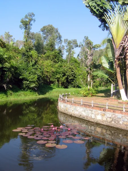 蓮の池と庭の風景 — ストック写真