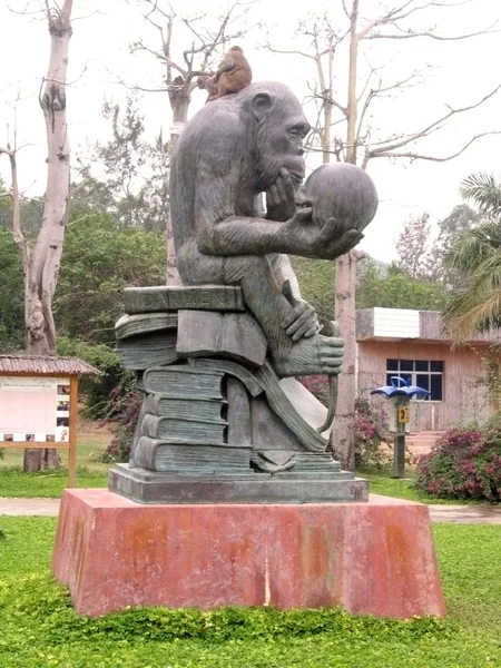 Estátua de macaco — Fotografia de Stock