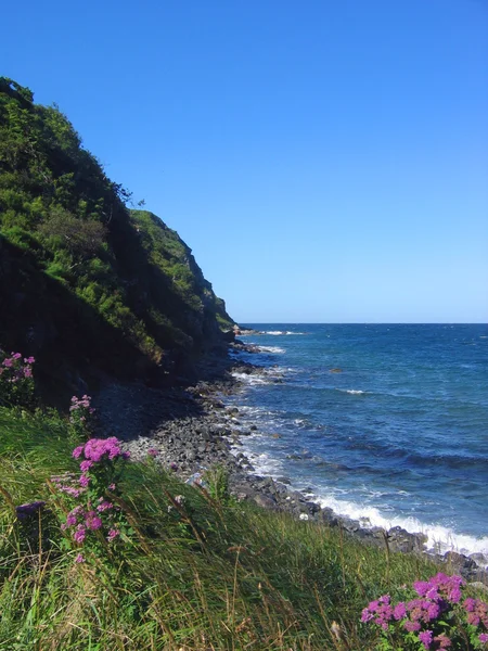 Cliff ve sahil şeridi — Stok fotoğraf