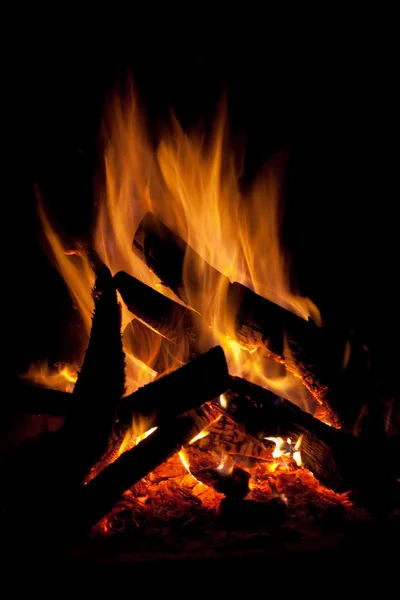 stock image Campfire at night