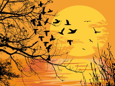 Sunset scene clipart