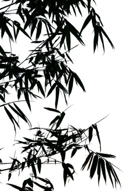 Bambu yapraklarının silueti.