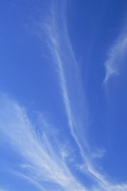Mavi gökyüzü ve özel bulut
