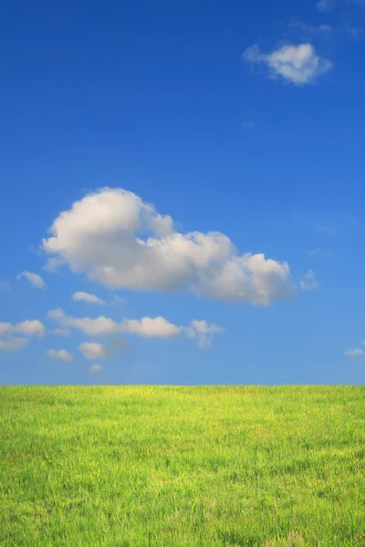 Prado y cielo azul — Foto de Stock