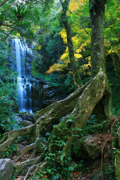 Herbstlicher Waldwasserfall — Stockfoto