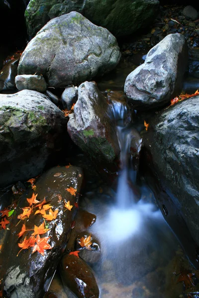 Cascata de outono — Fotografia de Stock