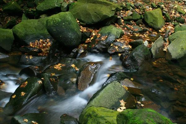 Autumn wild stream — Stock Photo, Image