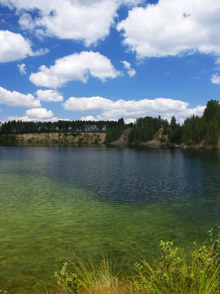 Verão paisagem lago — Fotografia de Stock