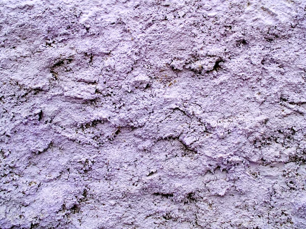 Surowe tynki fioletowy — Zdjęcie stockowe