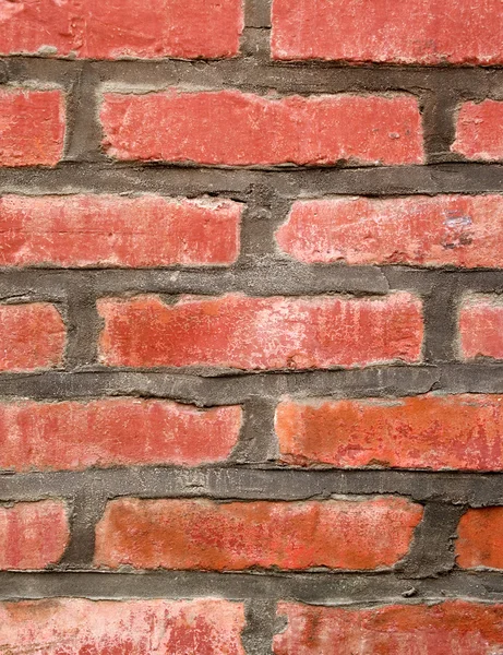 Backsteinmauer — Stockfoto