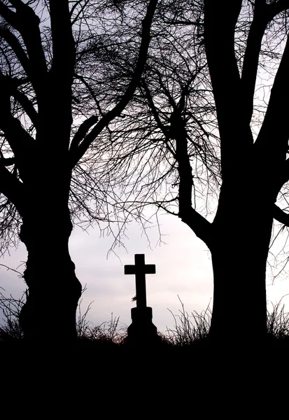 오래 된 나무 사이 길가의 십자가 — 스톡 사진