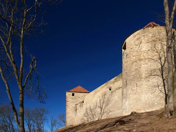 Gamla gotiska slottet — Stockfoto