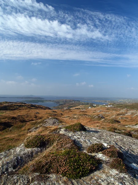 전형적인 아일랜드 늪지 풍경 — 스톡 사진