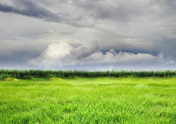 stock image Landscape