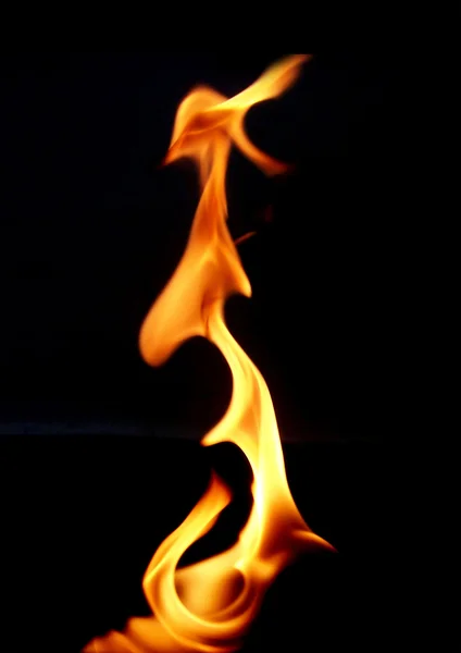 Tűz — Stock Fotó