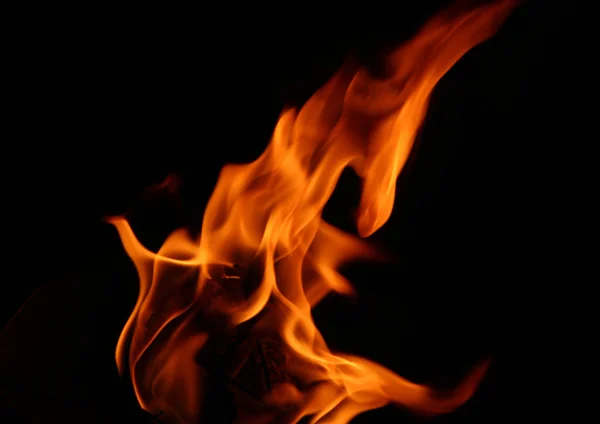 Tűz — Stock Fotó