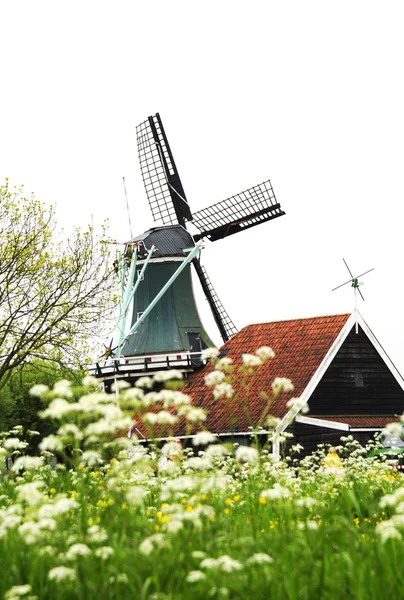 Molino de viento de Holanda — Foto de Stock