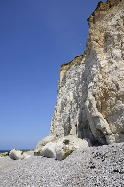 Cliff de costa — Fotografia de Stock