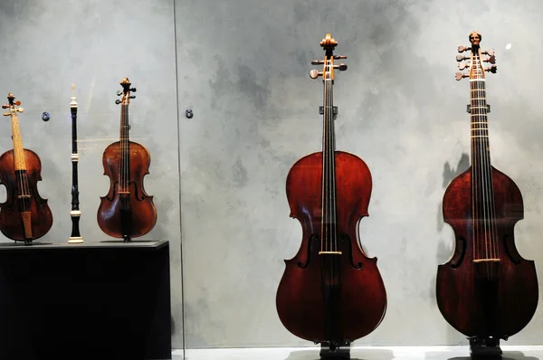 Strumento musicale per violino — Foto Stock