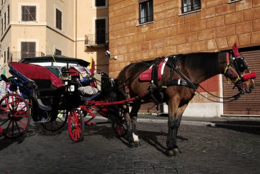 Roma'nın eski sokak arabası