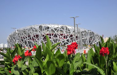 kuş yuva Pekin Olimpiyat Stadyumu