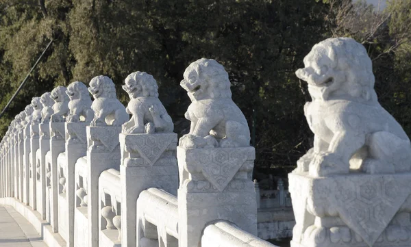 Statua del leone nel ponte di pietra — Foto Stock