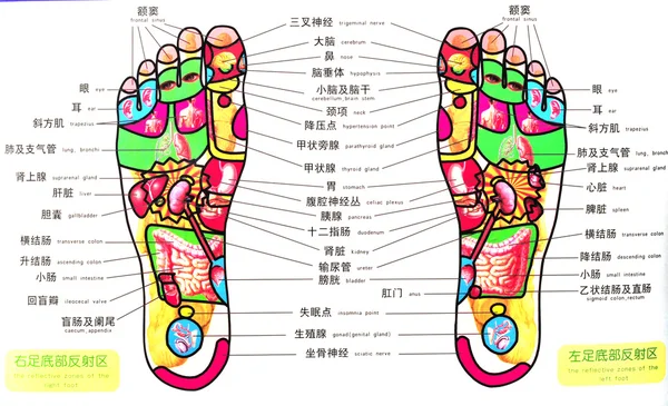 Akupunkturní mapa pro nohy — Stock fotografie
