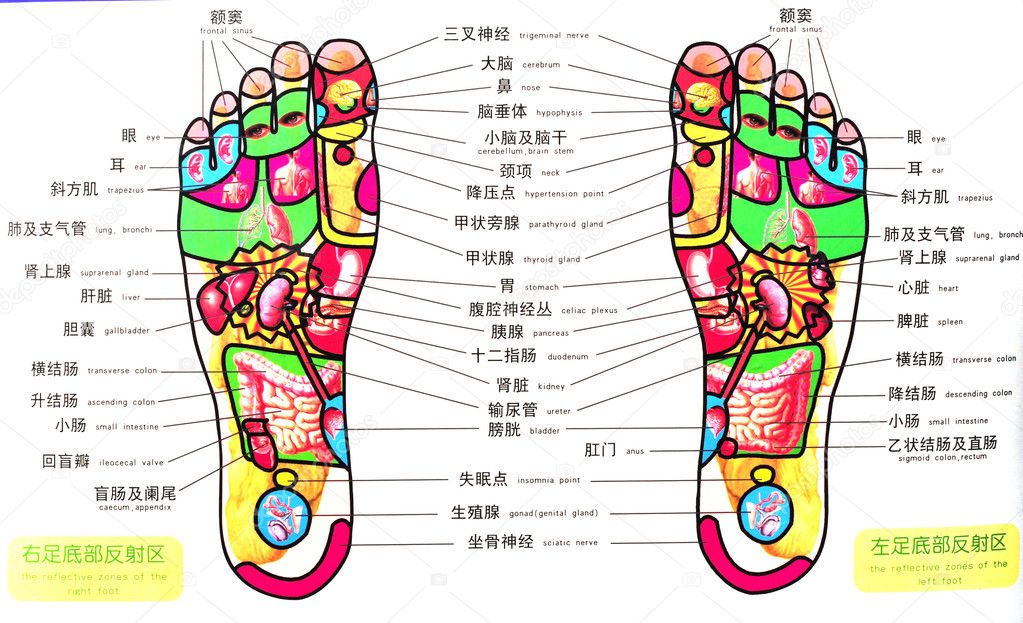 Acupuncture map for foot ⬇ Stock Photo, Image by © zenjung #2271884