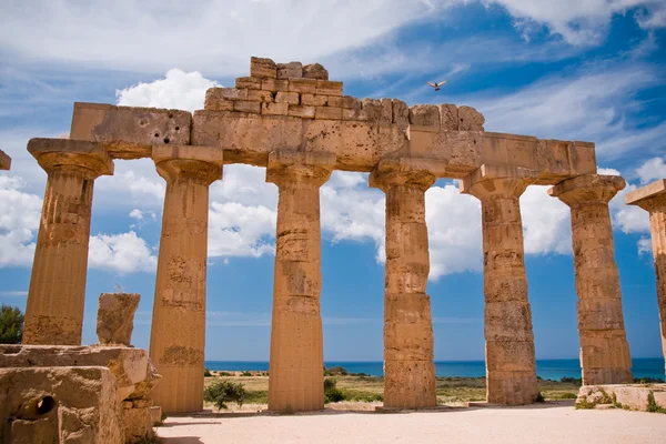 Tempio greco a Selinunte — Foto Stock
