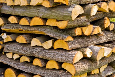 Wooden logs clipart