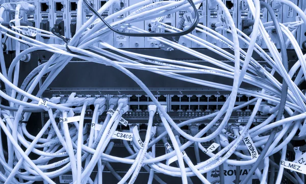 Волоконні кабелі, з'єднані з серверами — стокове фото